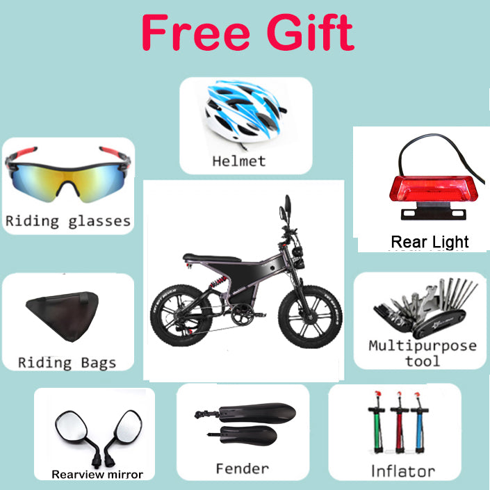 [EU] RANDRIDE DM711 E-motorcycle 1000W*2 Dual Motor 45km/h Speed 48V 20Ah 20*4.0" tires
