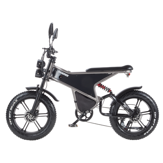 RANDRIDE DM711 City Commuter Electric motorcycle Dual Motor Drive 1000W*2 Peak power