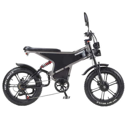 RANDRIDE DM711 City Commuter Electric motorcycle Dual Motor Drive 1000W*2 Peak power