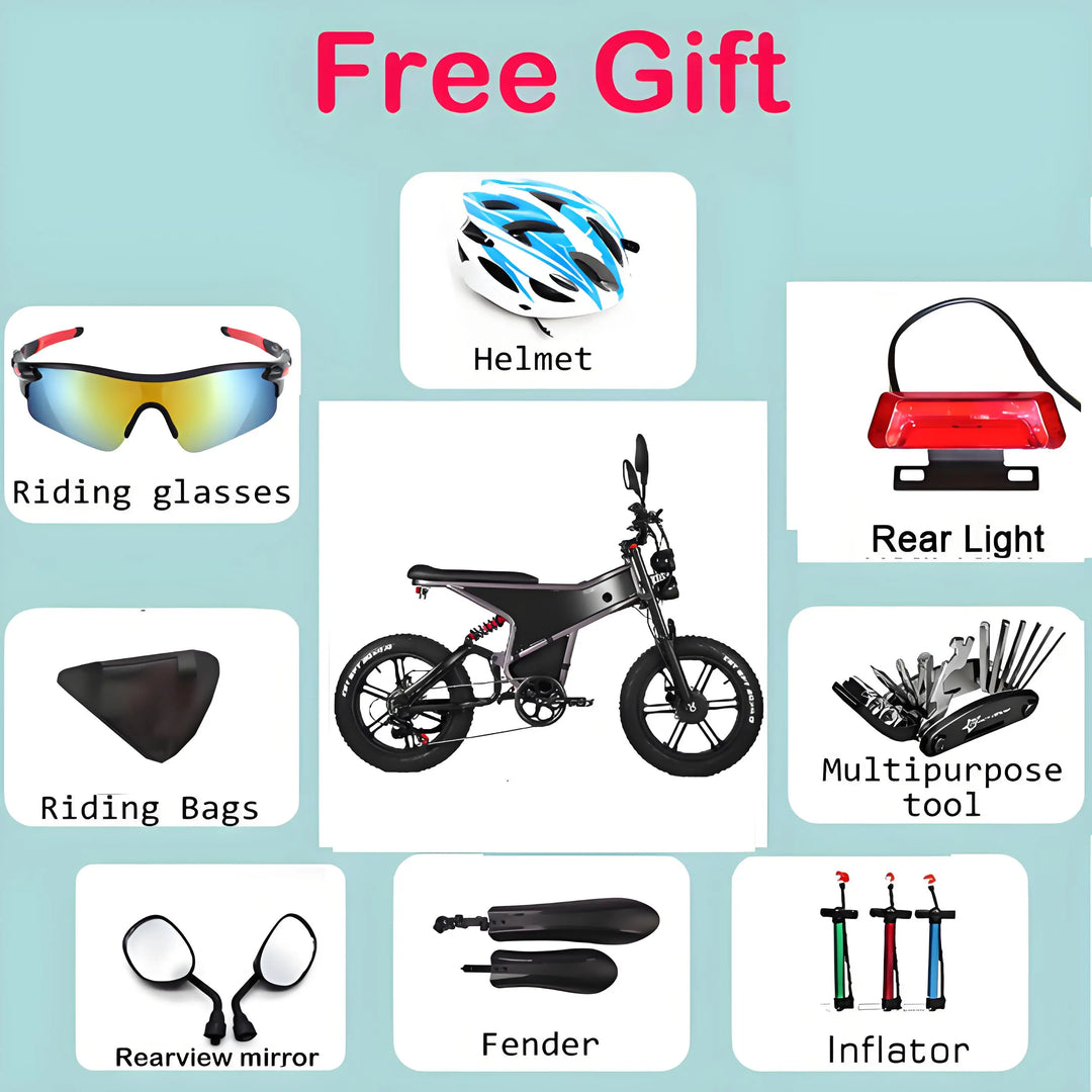 [EU] RANDRIDE DM711 E-motorcycle 1000W*2 Dual Motor 45km/h Speed 48V 20Ah 20*4.0" tires