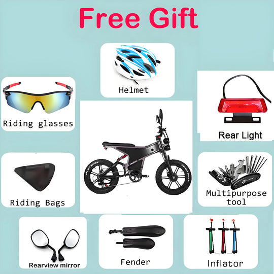 [EU] RANDRIDE DM711 E-motorcycle 1000W*2 Dual Motor 45km/h Speed 48V 20Ah 20*4.0" tires