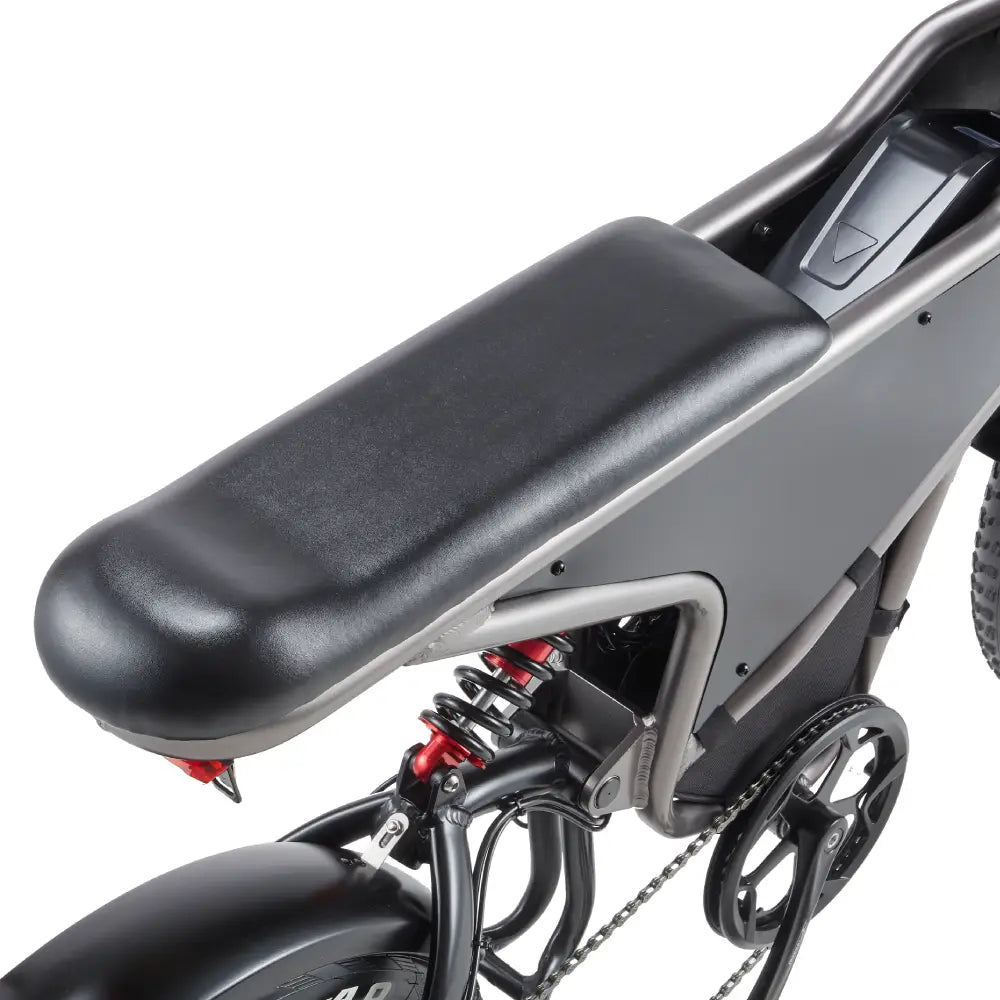[EU] RANDRIDE DM711 E-motorcycle 1000W*2 Dual Motor 45km/h Speed 48V 20Ah 20*4.0" tires