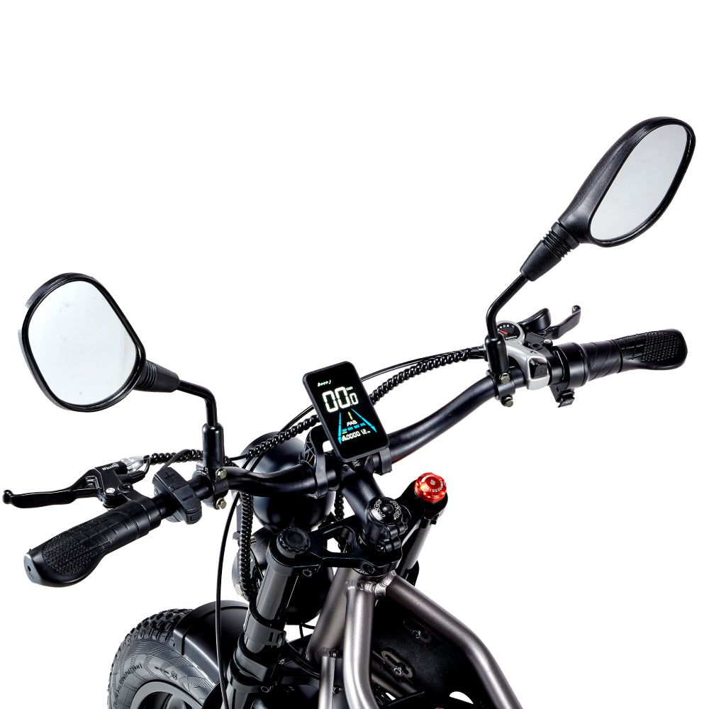 [EU] RANDRIDE DM711 E-motorcycle 1000W*2 Dual Motor 45km/h Speed 48V 20Ah 20*4.0" tires