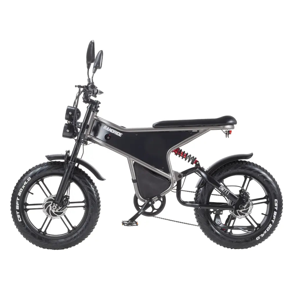 [EU] RANDRIDE DM711 E-motorcycle 1000W*2 Dual Motor 45km/h Speed 48V 20Ah 20*4.0" tires