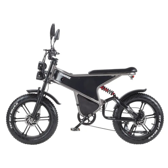 [EU] RANDRIDE DM711 E-motorcycle 1000W*2 Dual Motor 45km/h Speed 48V 20Ah 20*4.0" tires