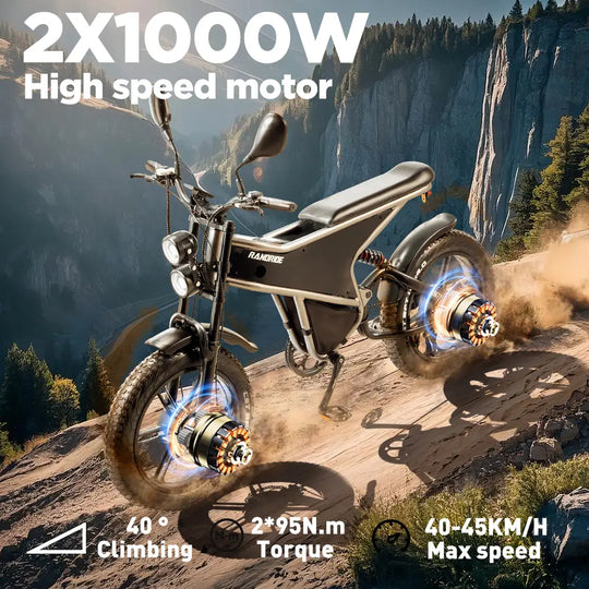 [EU] RANDRIDE DM711 E-motorcycle 1000W*2 Dual Motor 45km/h Speed 48V 20Ah 20*4.0" tires