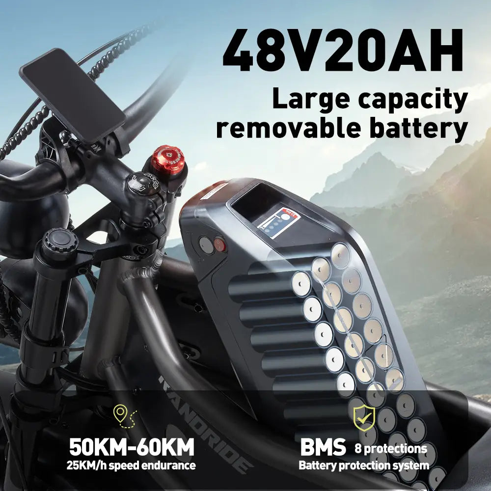 [EU] RANDRIDE DM711 E-motorcycle 1000W*2 Dual Motor 45km/h Speed 48V 20Ah 20*4.0" tires