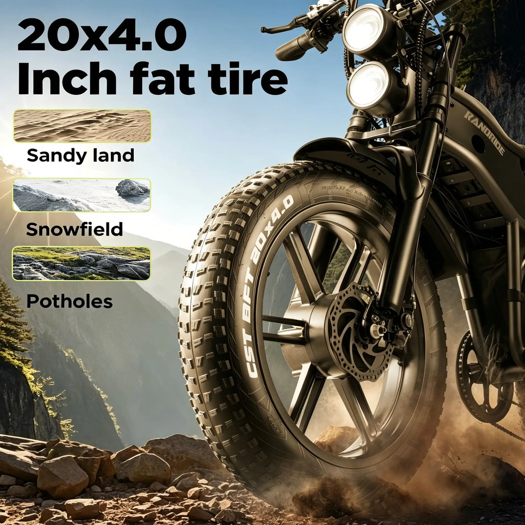 [EU] RANDRIDE DM711 E-motorcycle 1000W*2 Dual Motor 45km/h Speed 48V 20Ah 20*4.0" tires