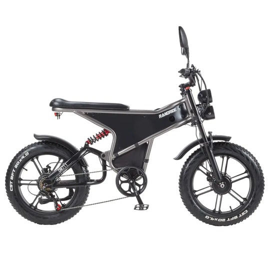 [EU] RANDRIDE DM711 E-motorcycle 1000W*2 Dual Motor 45km/h Speed 48V 20Ah 20*4.0" tires