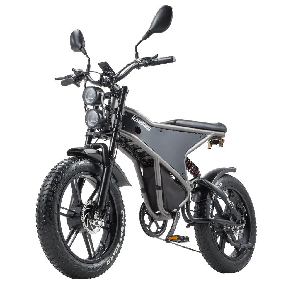 [EU] RANDRIDE DM711 E-motorcycle 1000W*2 Dual Motor 45km/h Speed 48V 20Ah 20*4.0" tires