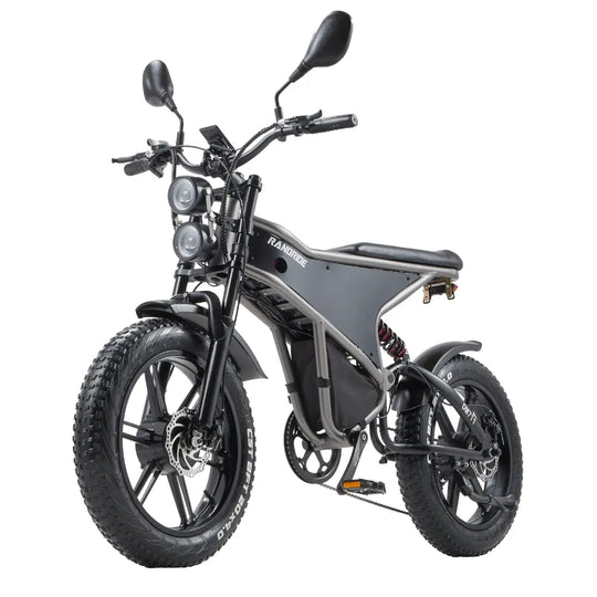 [EU] RANDRIDE DM711 E-motorcycle 1000W*2 Dual Motor 45km/h Speed 48V 20Ah 20*4.0" tires