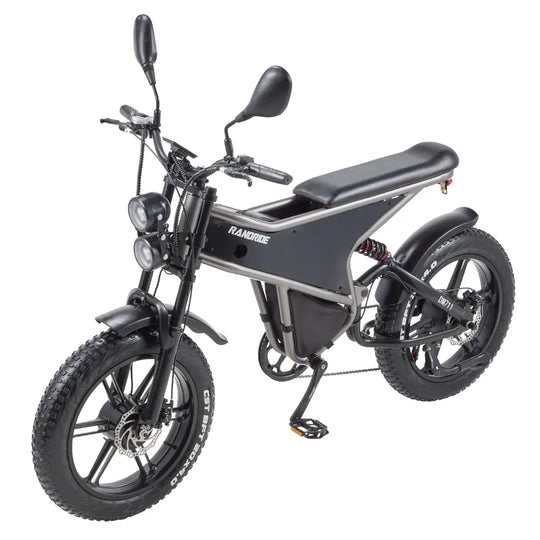 [EU] RANDRIDE DM711 E-motorcycle 1000W*2 Dual Motor 45km/h Speed 48V 20Ah 20*4.0" tires