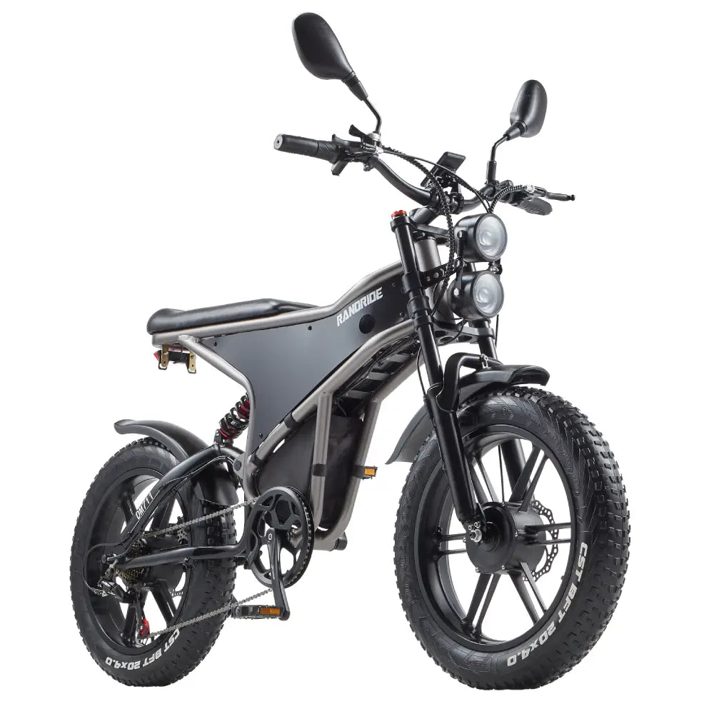 [EU] RANDRIDE DM711 E-motorcycle 1000W*2 Dual Motor 45km/h Speed 48V 20Ah 20*4.0" tires