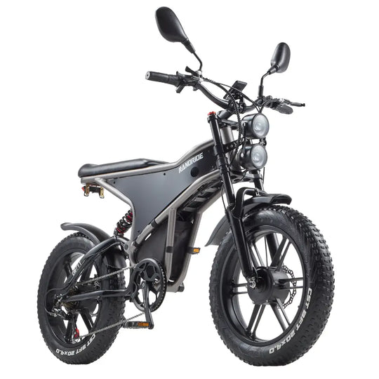 [EU] RANDRIDE DM711 E-motorcycle 1000W*2 Dual Motor 45km/h Speed 48V 20Ah 20*4.0" tires