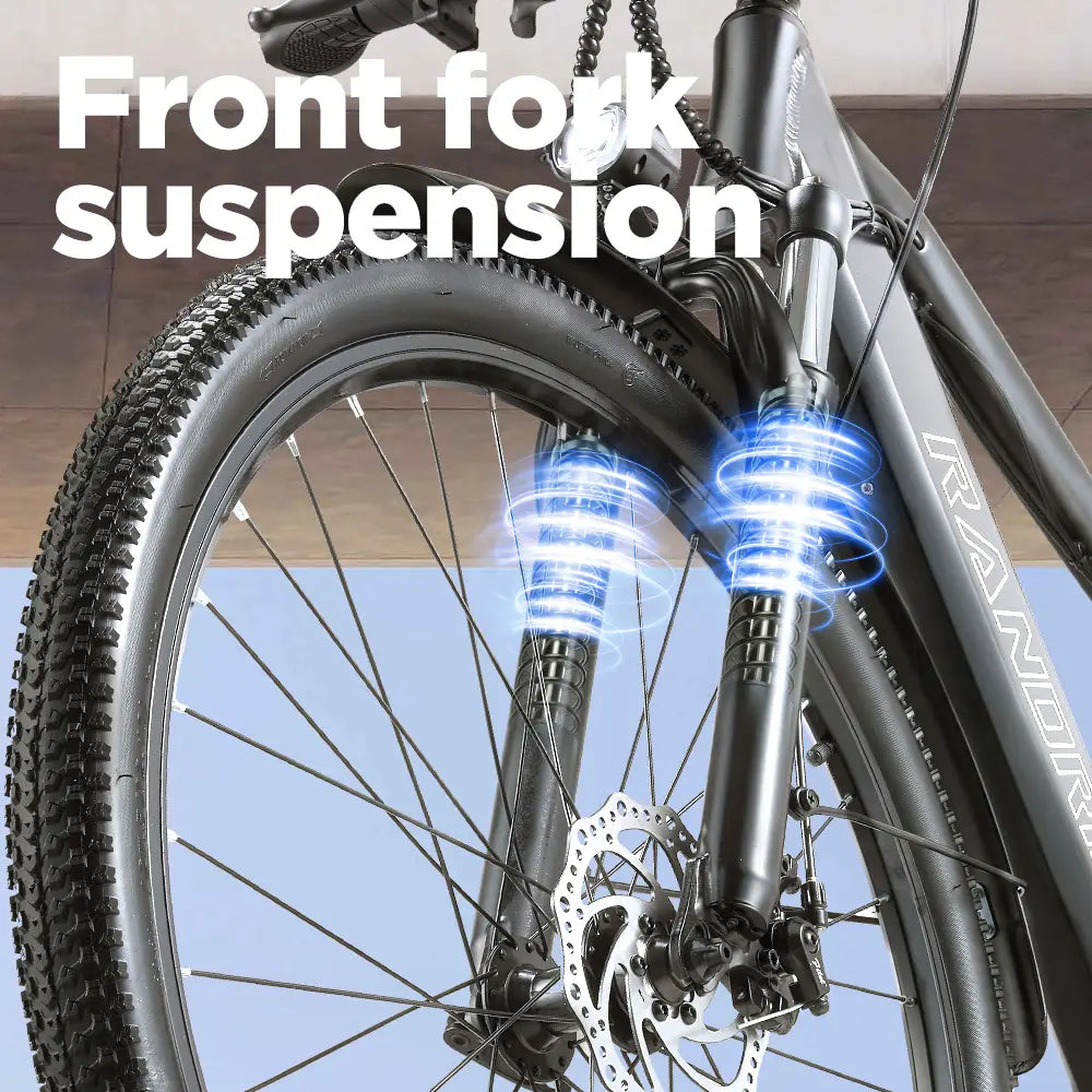 RANDRIDE YG70 City E-bike 48V 14Ah Battery 1000W Motor 45km/h Speed 27.5" tires