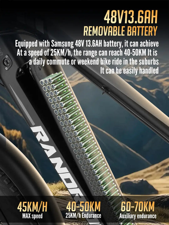 RANDRIDE YS90B E-Mountainbike 48V 13.6Ah 1000W hydraulic brakes 27.5"Aldult E-Bike